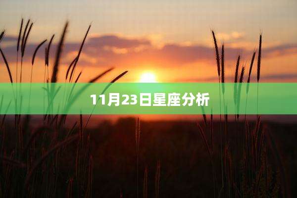 11月23日星座分析
