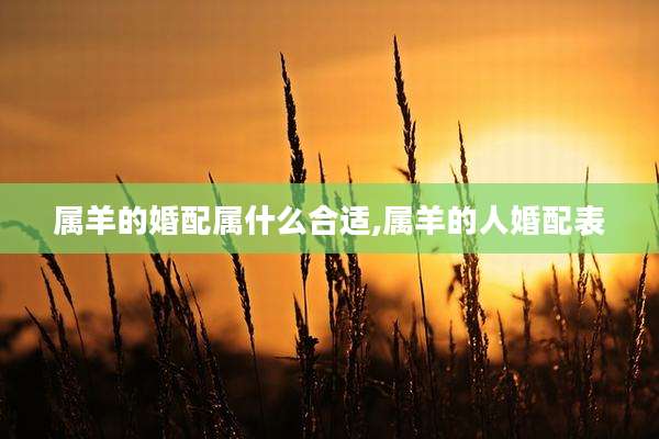 属羊的婚配属什么合适,属羊的人婚配表