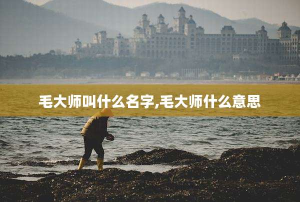 毛大师叫什么名字,毛大师什么意思