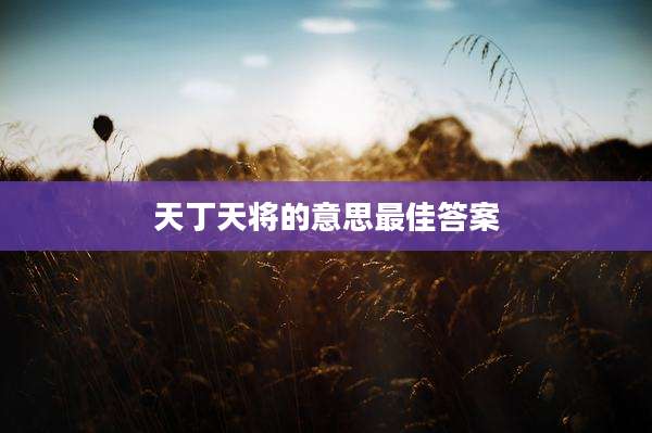 天丁天将的意思最佳答案