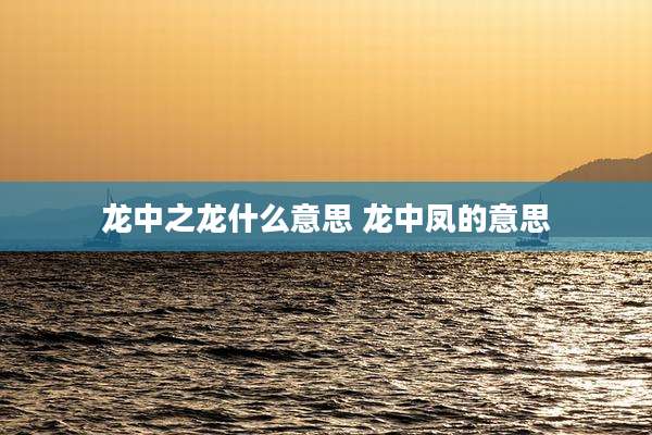 龙中之龙什么意思 龙中凤的意思