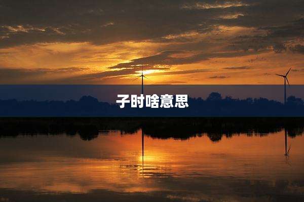 子时啥意思