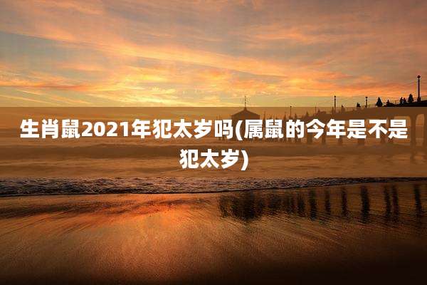 生肖鼠2021年犯太岁吗(属鼠的今年是不是犯太岁)