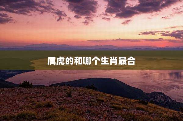 属虎的和哪个生肖最合