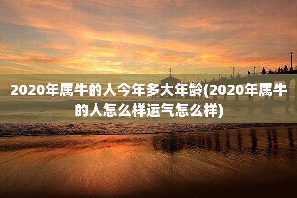2020年属牛的人今年多大年龄(2020年属牛的人怎么样运气怎么样)