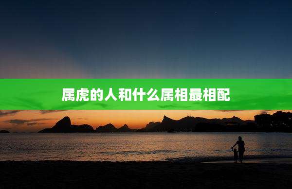属虎的人和什么属相最相配