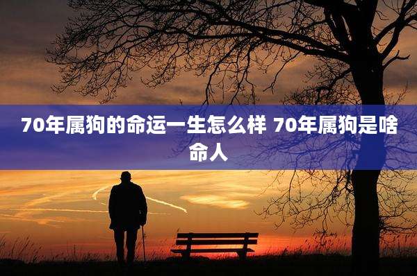 70年属狗的命运一生怎么样 70年属狗是啥命人