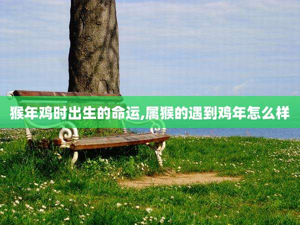 猴年鸡时出生的命运,属猴的遇到鸡年怎么样