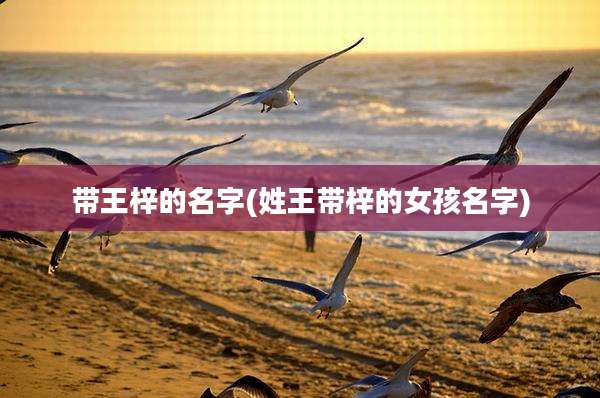 带王梓的名字(姓王带梓的女孩名字)