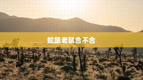 蛇跟老鼠合不合