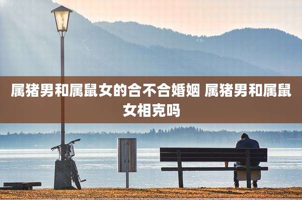 属猪男和属鼠女的合不合婚姻 属猪男和属鼠女相克吗