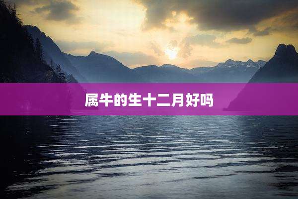 属牛的生十二月好吗