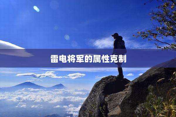 雷电将军的属性克制