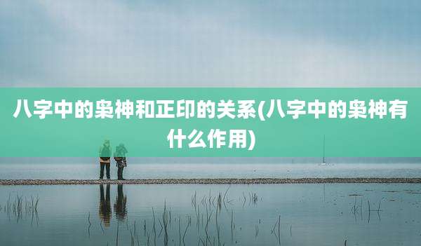 八字中的枭神和正印的关系(八字中的枭神有什么作用)