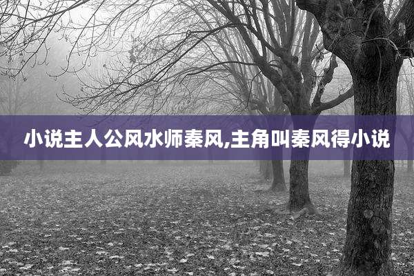 小说主人公风水师秦风,主角叫秦风得小说
