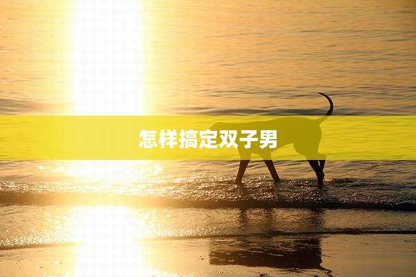 怎样搞定双子男
