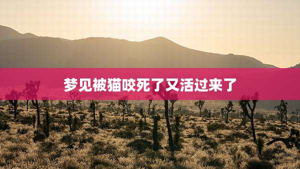 梦见被猫咬死了又活过来了
