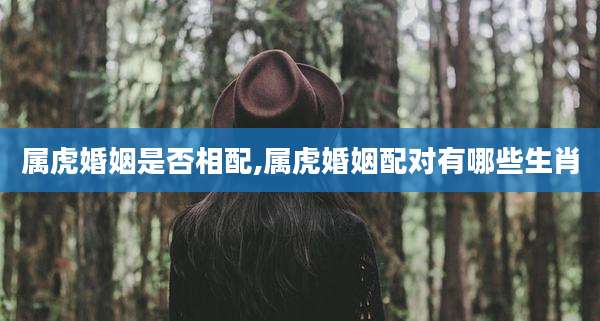 属虎婚姻是否相配,属虎婚姻配对有哪些生肖