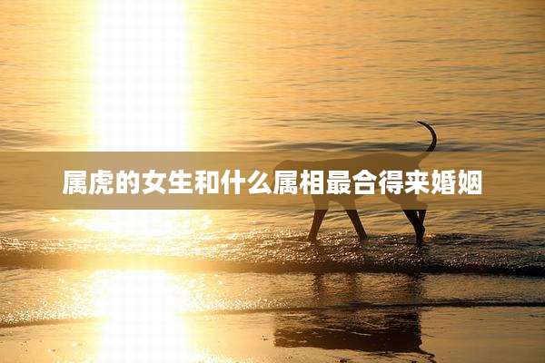 属虎的女生和什么属相最合得来婚姻