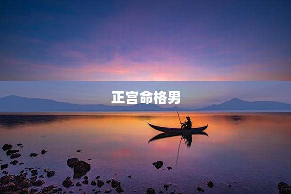 正宫命格男