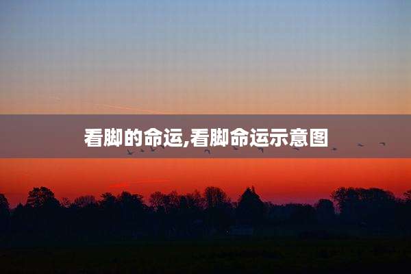 看脚的命运,看脚命运示意图