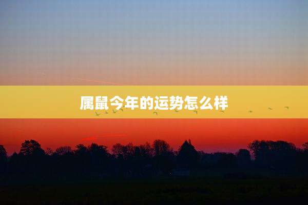 属鼠今年的运势怎么样