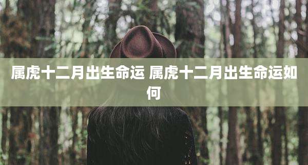 属虎十二月出生命运 属虎十二月出生命运如何