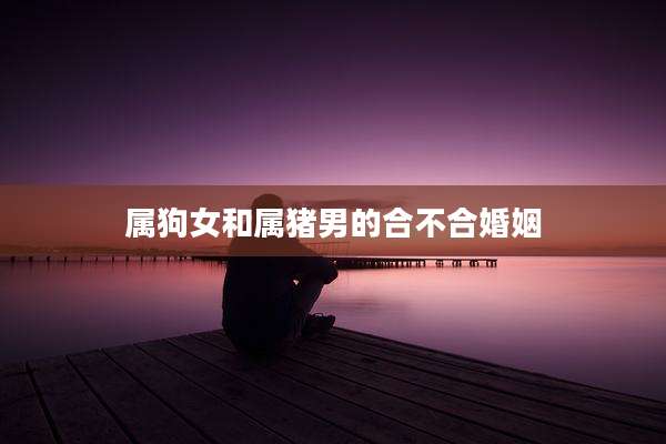 属狗女和属猪男的合不合婚姻