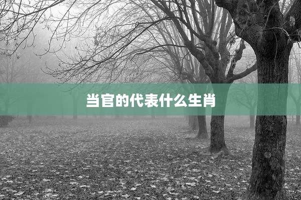 当官的代表什么生肖