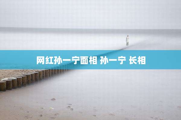 网红孙一宁面相 孙一宁 长相