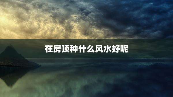 在房顶种什么风水好呢