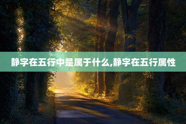静字在五行中是属于什么,静字在五行属性