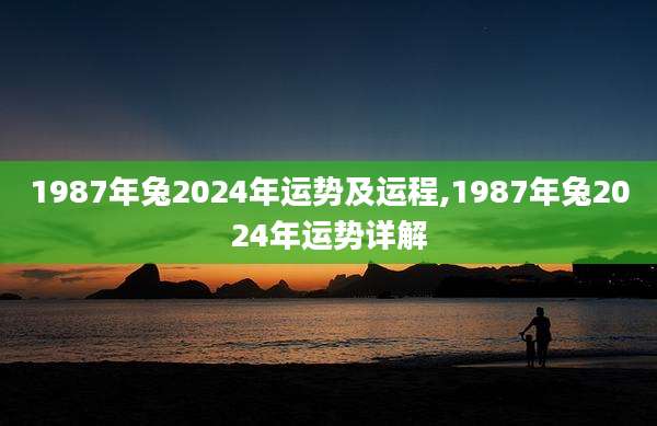 1987年兔2024年运势及运程,1987年兔2024年运势详解