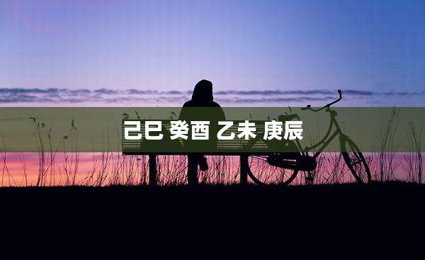 己巳 癸酉 乙未 庚辰