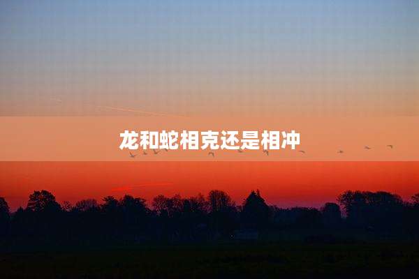 龙和蛇相克还是相冲