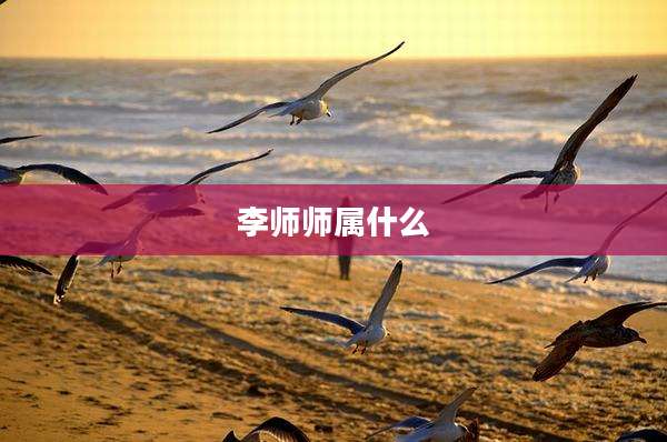 李师师属什么