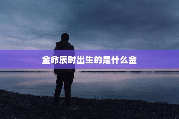 金命辰时出生的是什么金