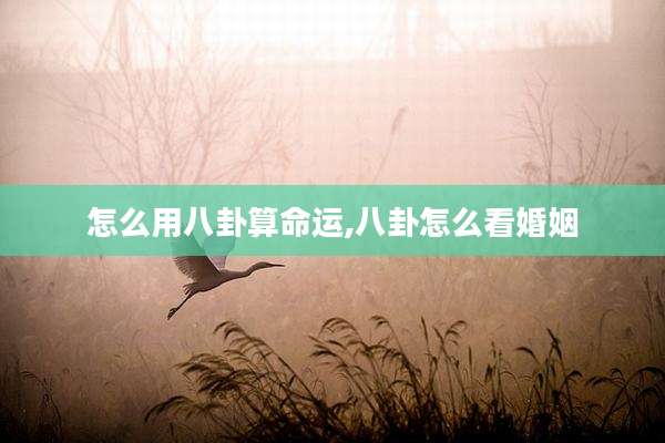 怎么用八卦算命运,八卦怎么看婚姻