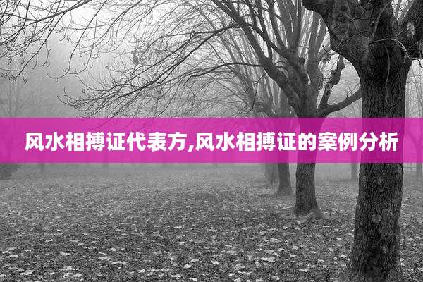 风水相搏证代表方,风水相搏证的案例分析