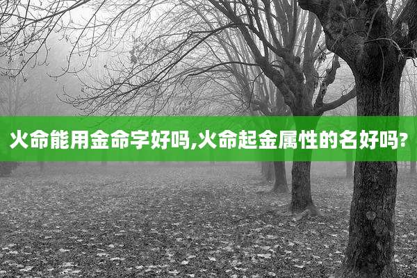 火命能用金命字好吗,火命起金属性的名好吗?