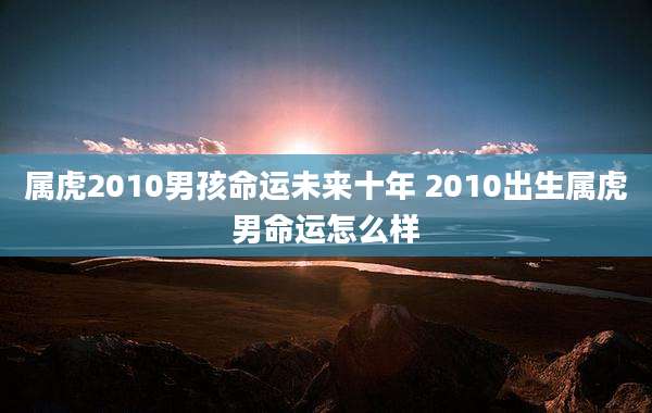 属虎2010男孩命运未来十年 2010出生属虎男命运怎么样