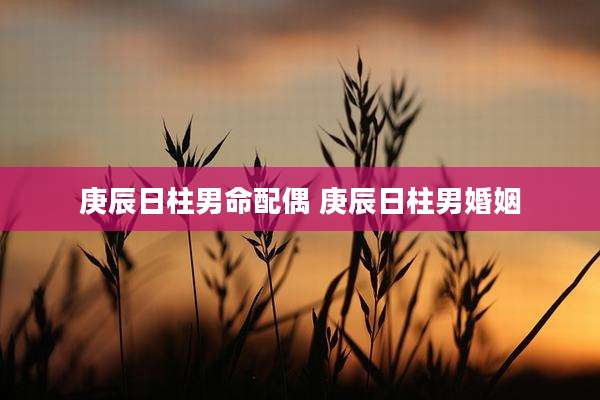 庚辰日柱男命配偶 庚辰日柱男婚姻