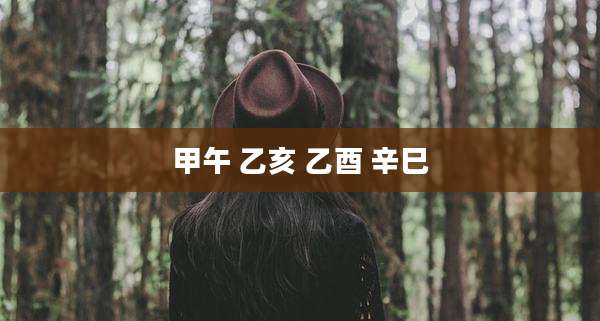 甲午 乙亥 乙酉 辛巳