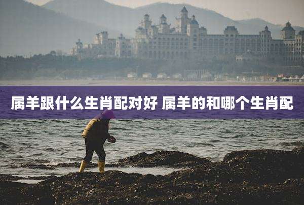 属羊跟什么生肖配对好 属羊的和哪个生肖配