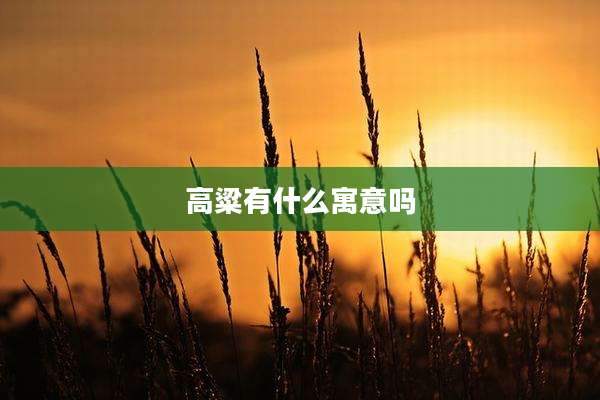 高粱有什么寓意吗