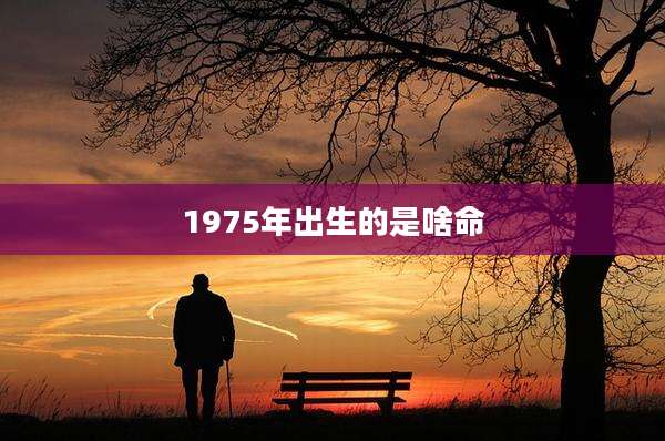 1975年出生的是啥命