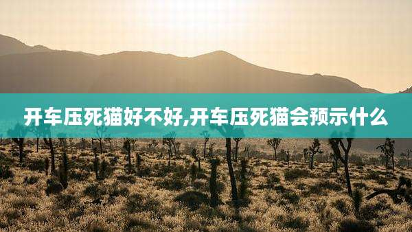 开车压死猫好不好,开车压死猫会预示什么