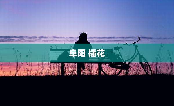 阜阳 插花