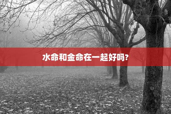 水命和金命在一起好吗?