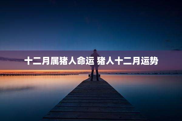 十二月属猪人命运 猪人十二月运势
